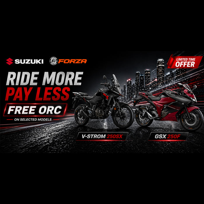 **Suzuki V-STROM 250SX