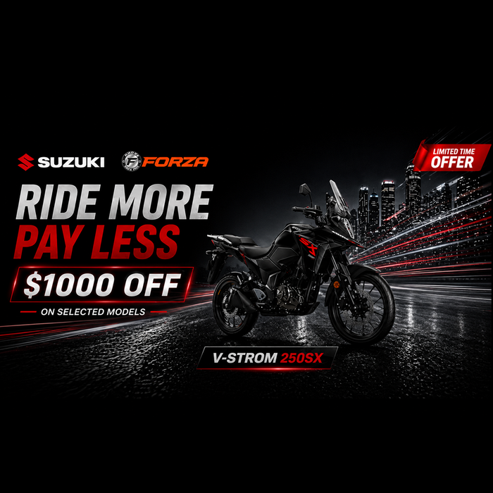 **Suzuki V-STROM 250SX