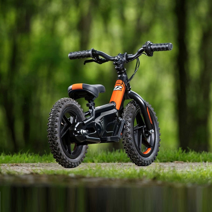Electric Motorcycle Harley Davidson Children's Bicycle Harley